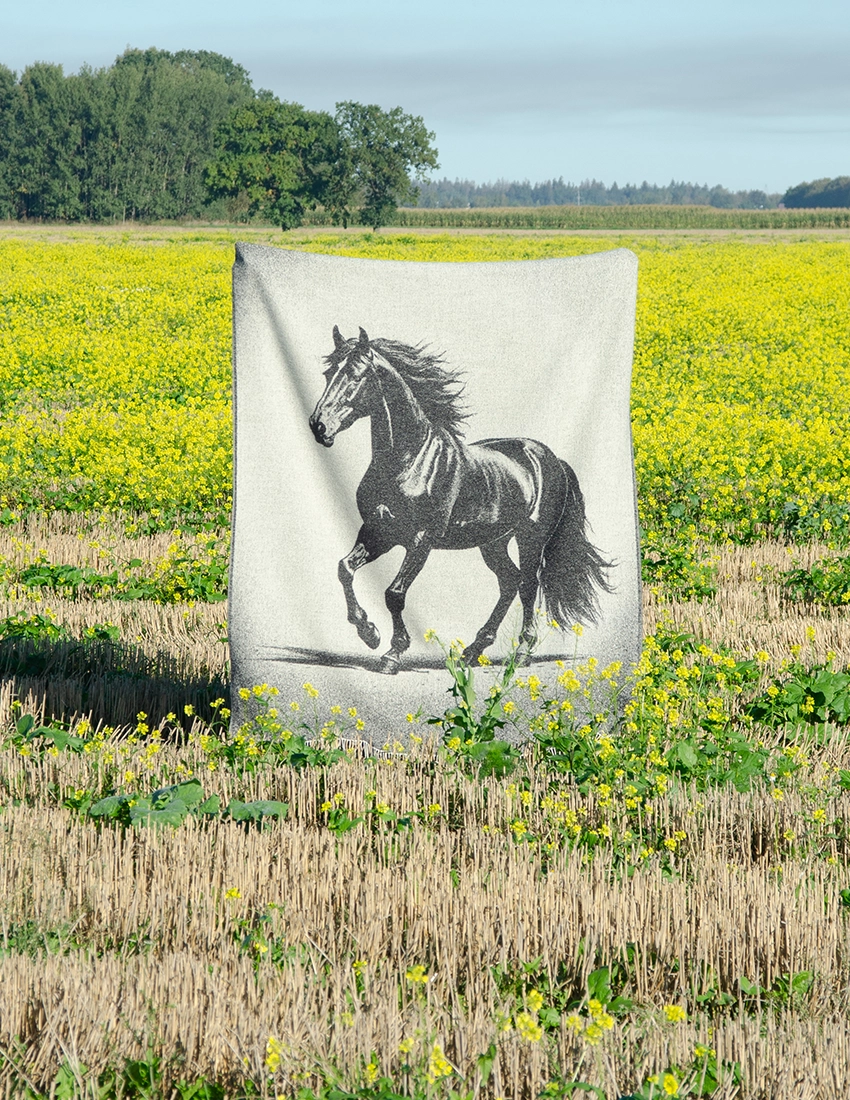 colta-light-wool-blanket