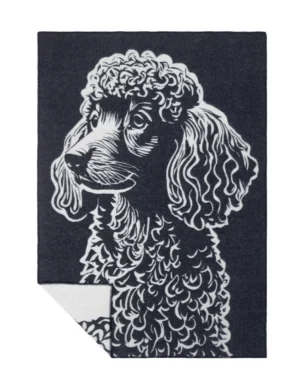POODLE